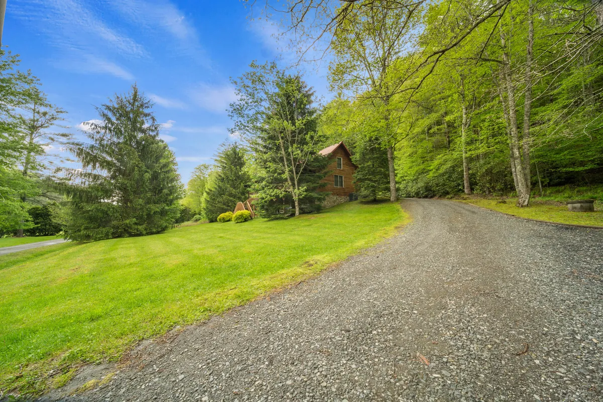 The exterior view presents a classic wooden cabin nestled amidst trees and lush greenery, with a gravel driveway in the foreground. The expansive natural surroundings evoke opportunities for nature walks, outdoor gatherings, and pet-friendly fun.