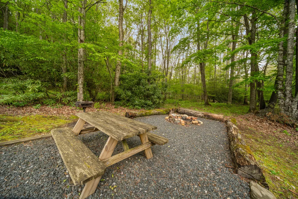 A wooden picnic table sits next to a classic stone fire pit, all nestled beneath tall trees. The surrounding forest and open space make it a perfect spot for alfresco meals, campfire storytelling, and stargazing.